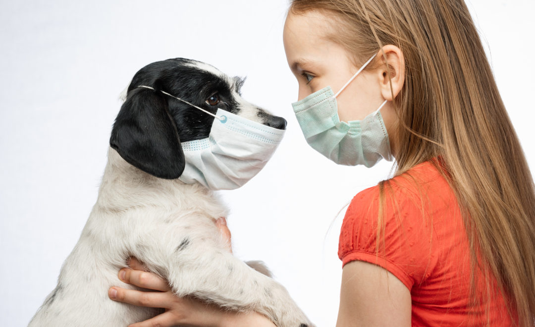 masked girl holding masked dog